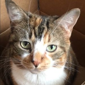 Meet your Posher, Katherine